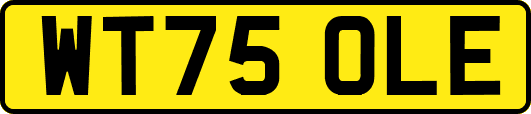 WT75OLE
