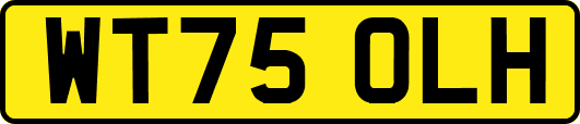 WT75OLH