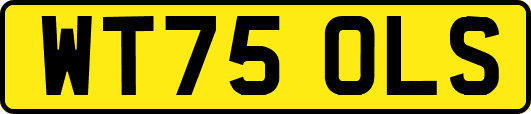 WT75OLS
