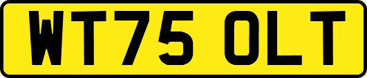 WT75OLT