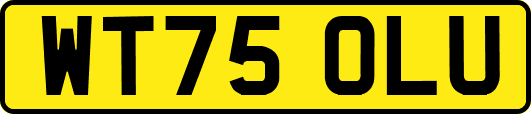 WT75OLU