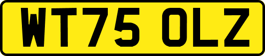WT75OLZ