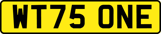 WT75ONE