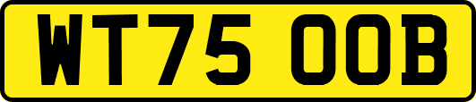 WT75OOB