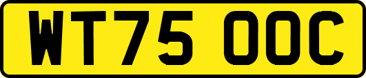 WT75OOC
