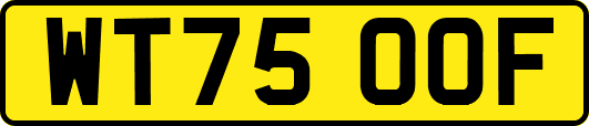 WT75OOF