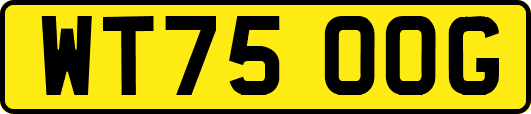 WT75OOG