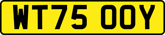 WT75OOY