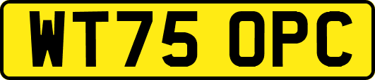 WT75OPC