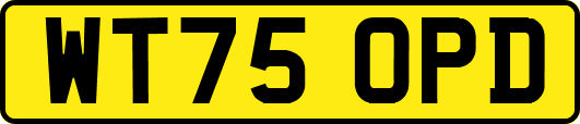 WT75OPD