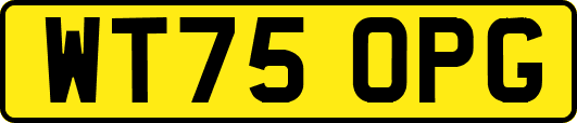 WT75OPG