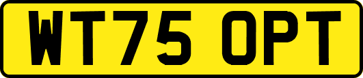WT75OPT
