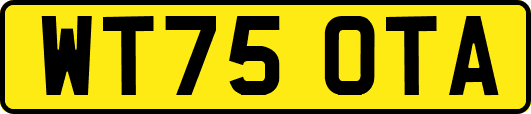 WT75OTA