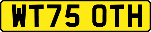 WT75OTH
