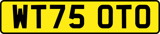 WT75OTO
