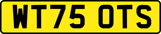 WT75OTS