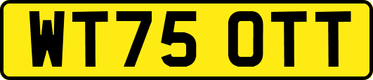 WT75OTT