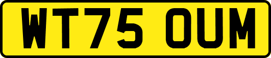 WT75OUM