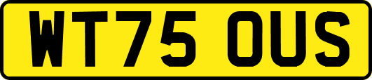 WT75OUS