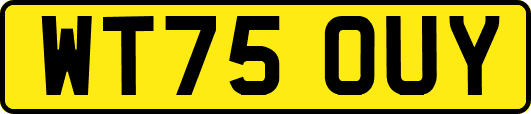 WT75OUY