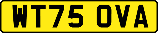 WT75OVA