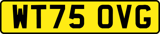 WT75OVG