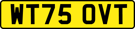 WT75OVT