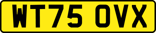 WT75OVX