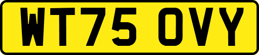WT75OVY