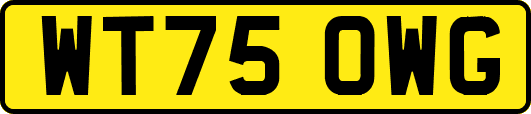 WT75OWG
