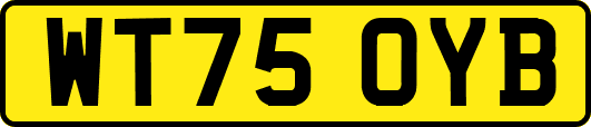 WT75OYB