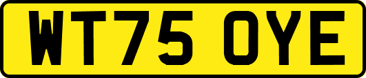 WT75OYE