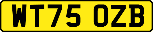 WT75OZB