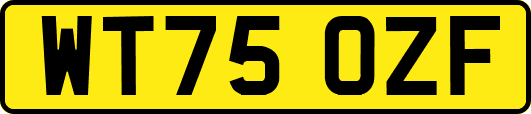 WT75OZF
