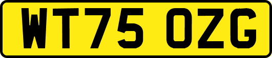 WT75OZG