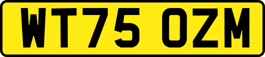 WT75OZM