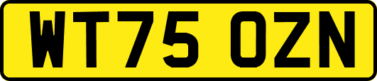 WT75OZN