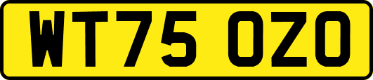 WT75OZO