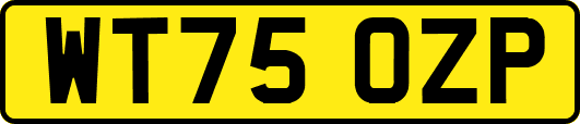 WT75OZP