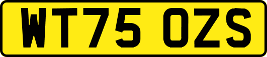 WT75OZS