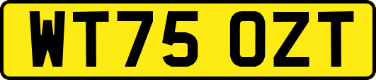 WT75OZT