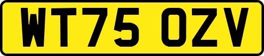 WT75OZV