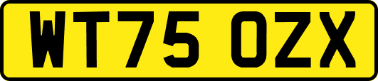 WT75OZX