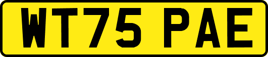 WT75PAE