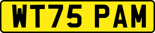 WT75PAM
