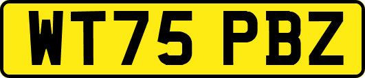 WT75PBZ