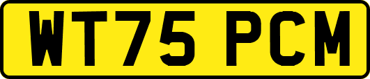 WT75PCM