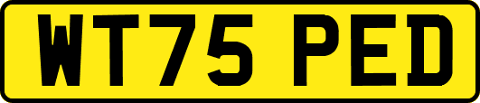 WT75PED