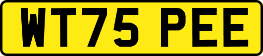 WT75PEE
