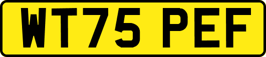 WT75PEF